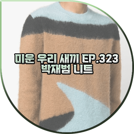  미운 우리 새끼 323회 박재범 니트 :: 살바토레 산토로 컬러 블록 니트 스웨터 : 박재범 패션