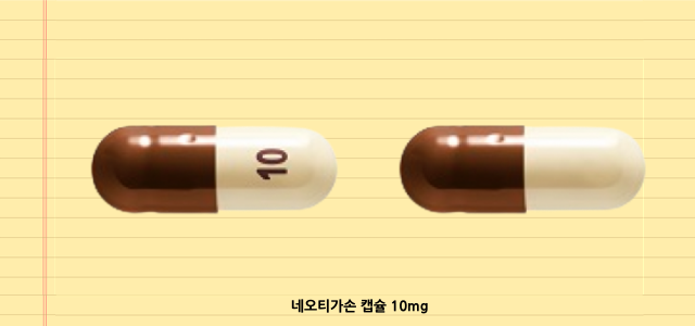 네오티가손_모양