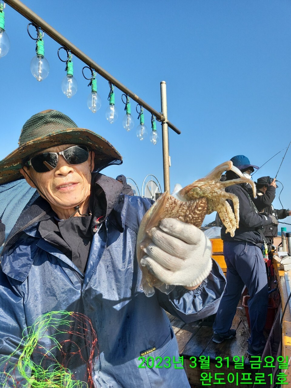 이프로 이미지