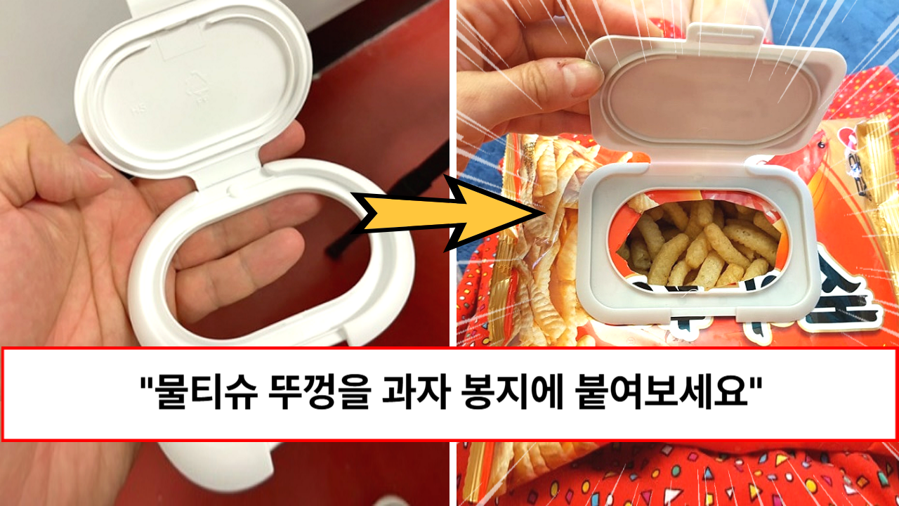 “생활이 편리해집니다” 다 쓴 물티슈 뚜껑 300% 재활용하는 방법