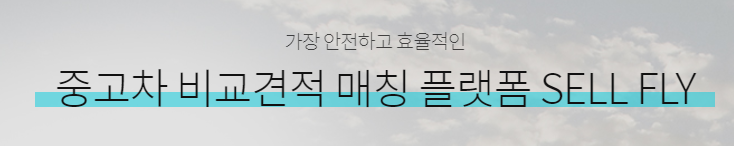  중고차 매매도 비교 해봐야지! 셀플라이
