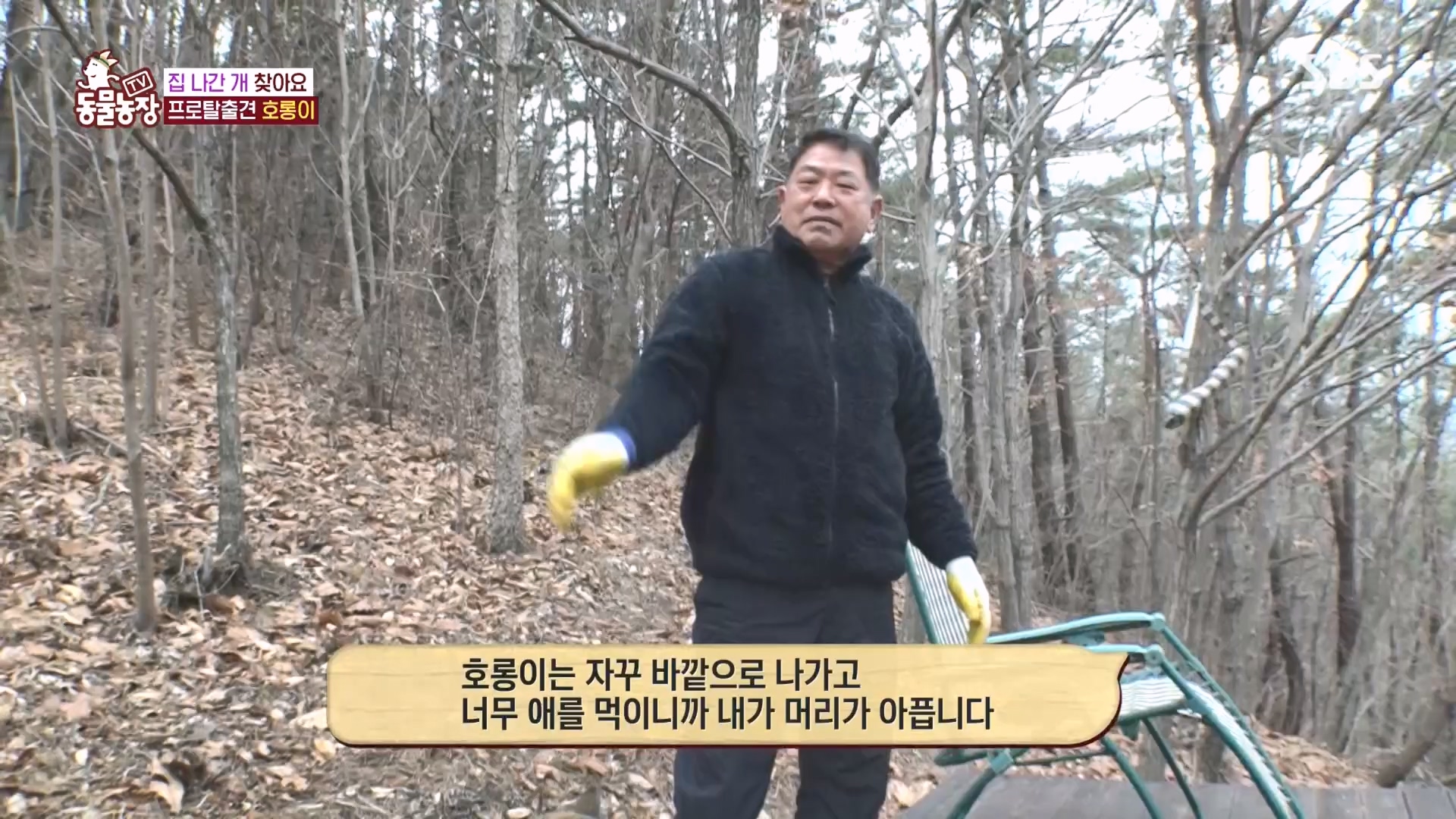 TV 동물농장.E1160.240225p.H264-F1RST.mp4_20240225_165131.054.jpg