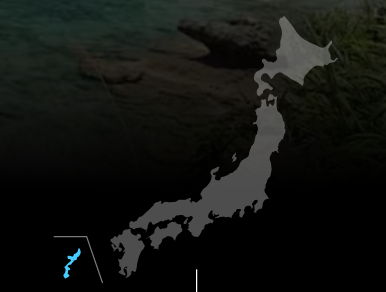 오키나와 위치