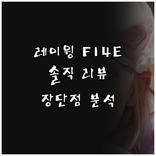 레이윙 디스커버리 F14E-5 솔직 