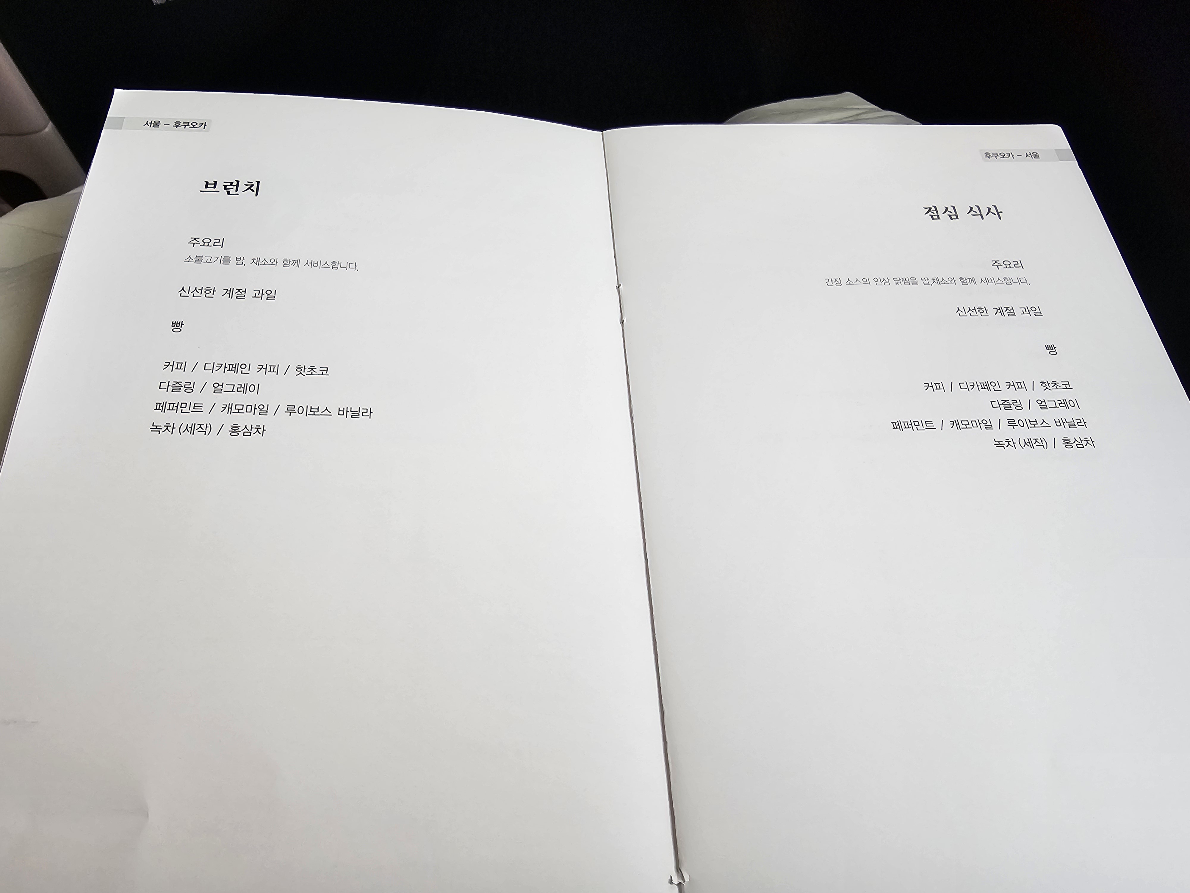 대한항공 B787-10 ICN-FUK (인천-후쿠오카) 왕복 프레스티지 탑승기