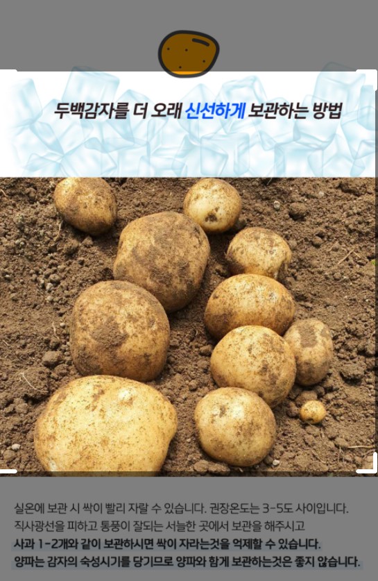  두백감자를 더오래 신선하게 보관하는 방법
