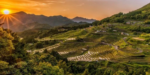 산간지 개척을 통한 농업&#44; 토지이용의 변화