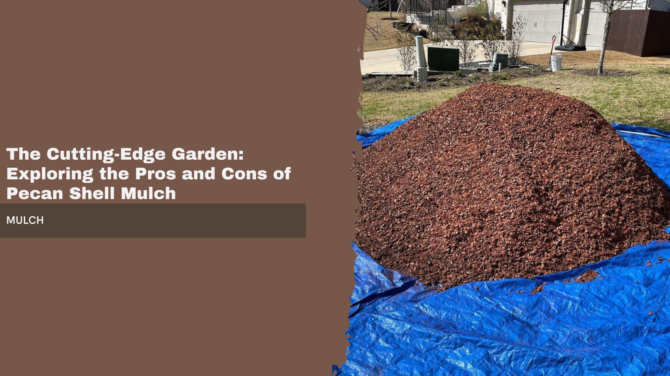 Pros and Cons of Pecan Shell Mulch
