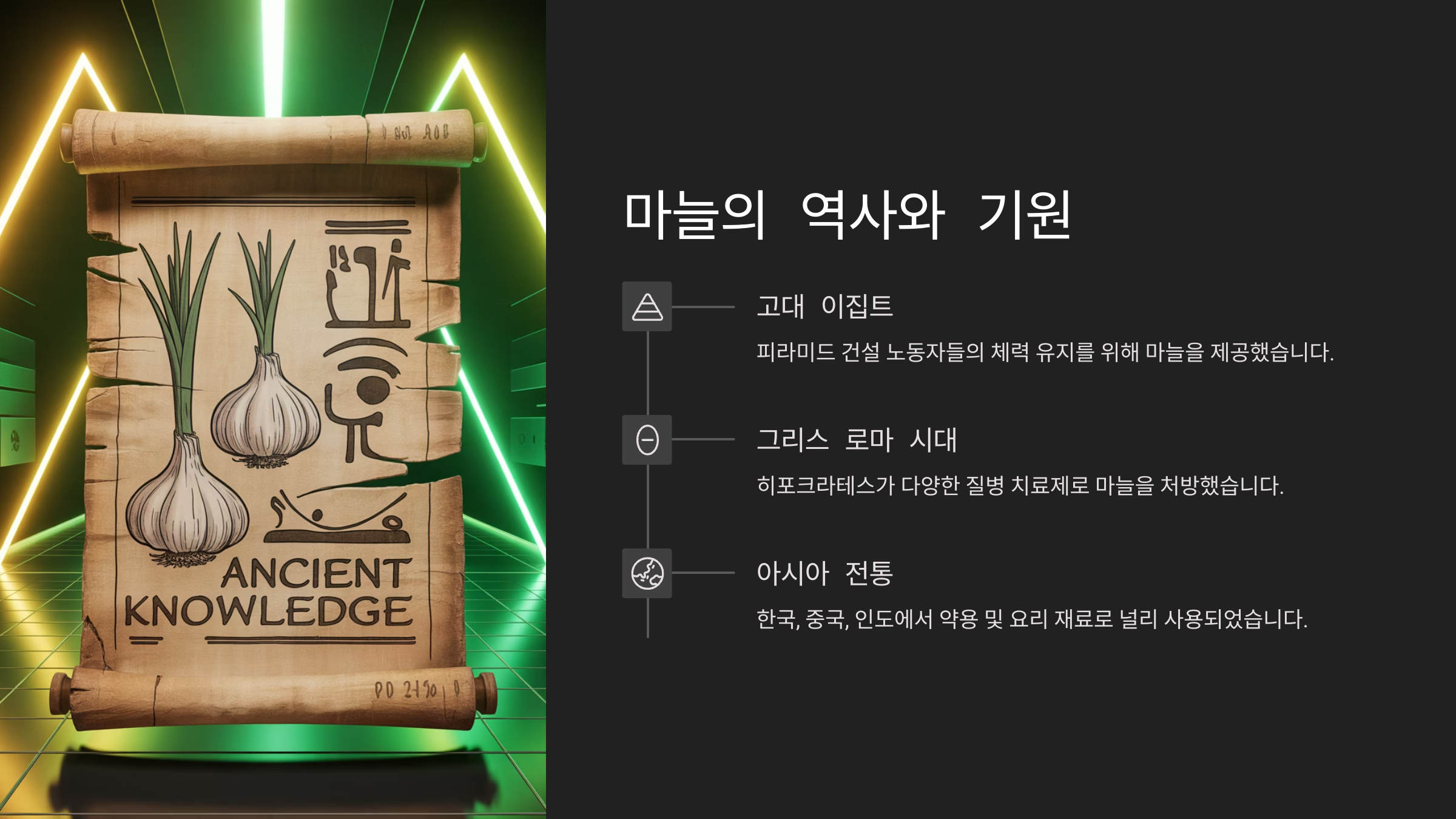 🌍 마늘의 역사와 기원