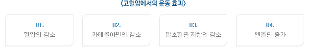 - 사전검사 [고혈압] [웰니스랩] 목적별 운동프로그램 (노인인기