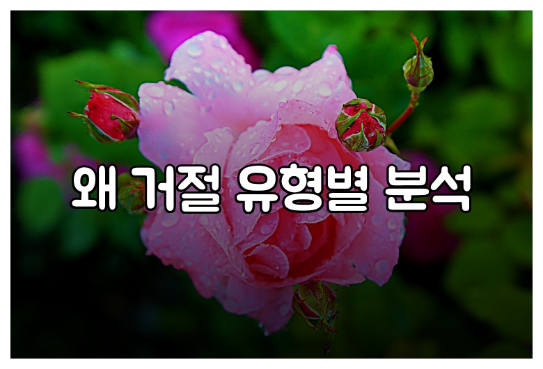 왜 거절 유형별 분석