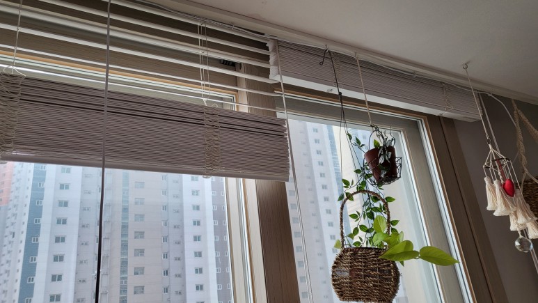 퓨처 그린 식물등으로! 19