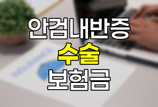 안검내반증 수술 보험금 청구 핵심 정보