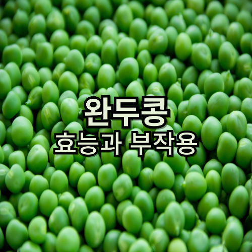  완두콩의 효능 12가지와 부작용