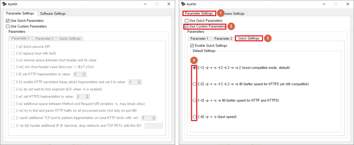 GoodbyeDPI GUI - Setting - Ayarlar - ParameterSettings