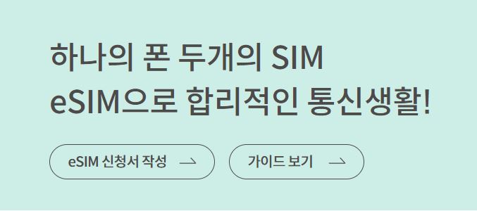 eSIM 신청