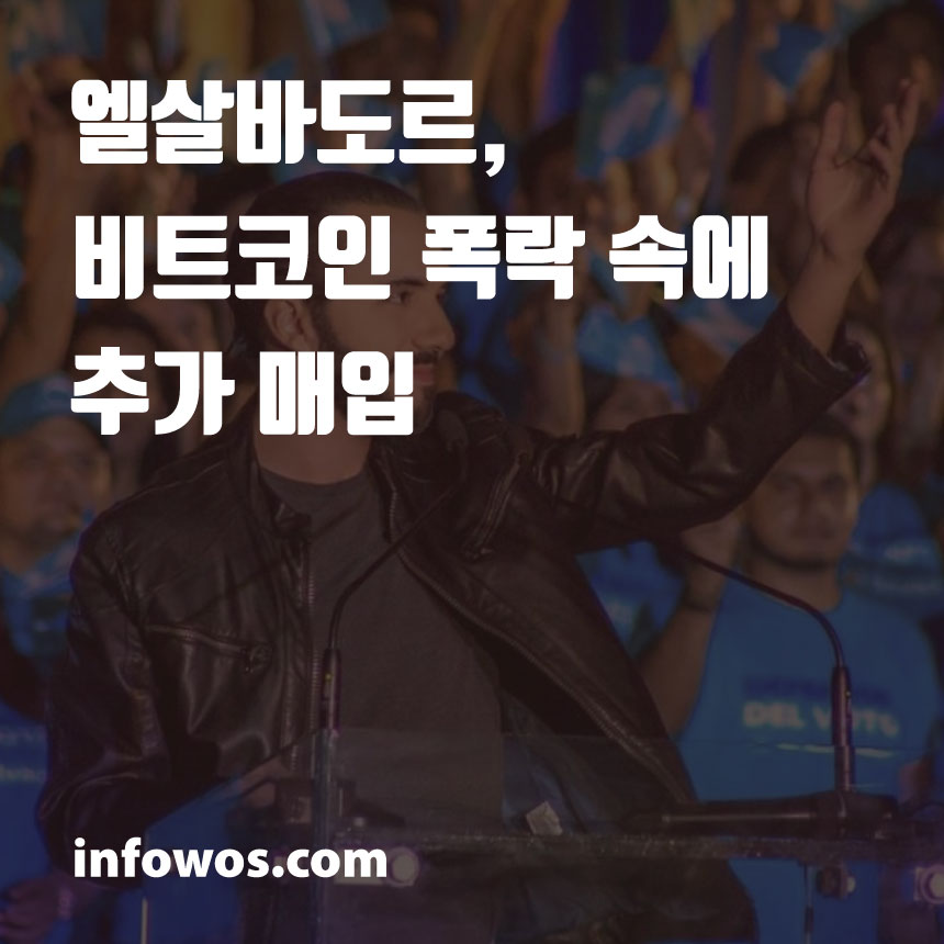  엘살바도르, 비트코인 폭락 속에 추가 매입