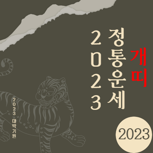 2023년 개띠 운세 총정리