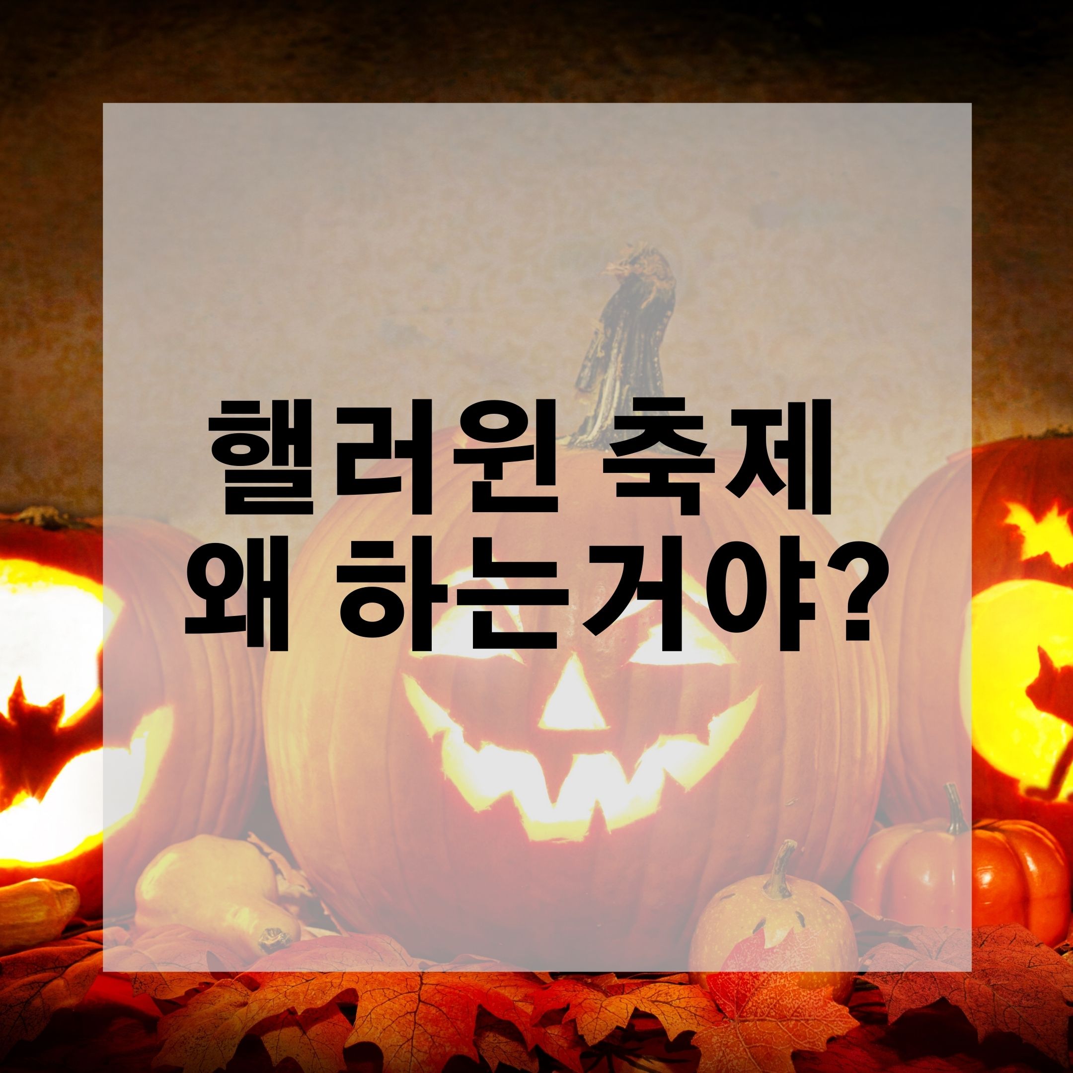  핼러윈 축제 왜 하는거야?