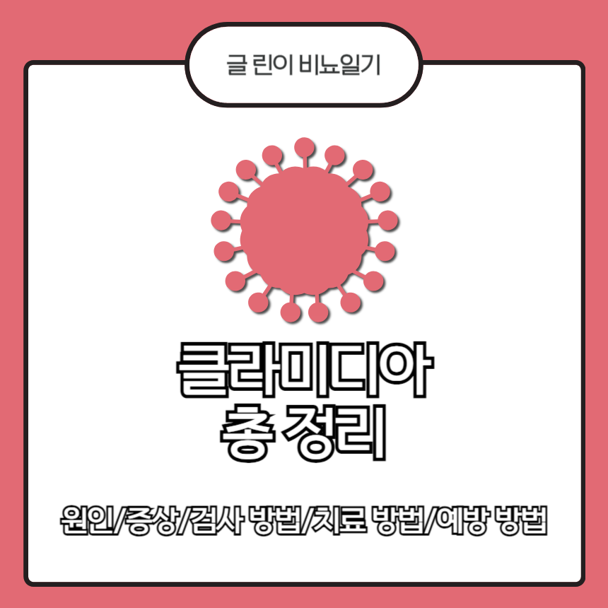  클라미디아 총 정리