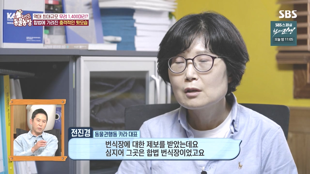 TV 동물농장.E1142.231023p-NEXT.mp4_20231022_172000.857.jpg