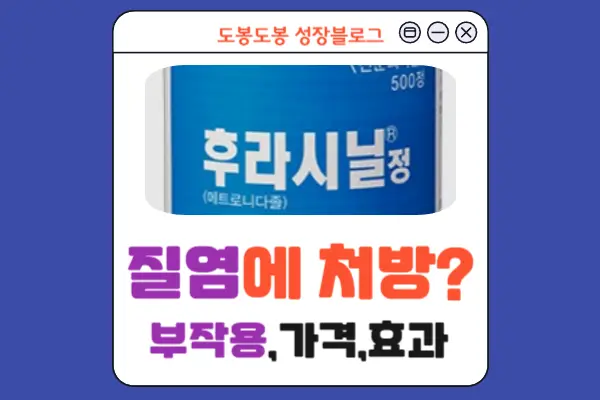 후라시닐정 안내 이미지