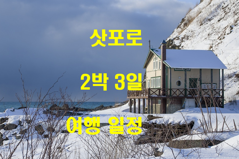  삿포로 2박 3일 일정