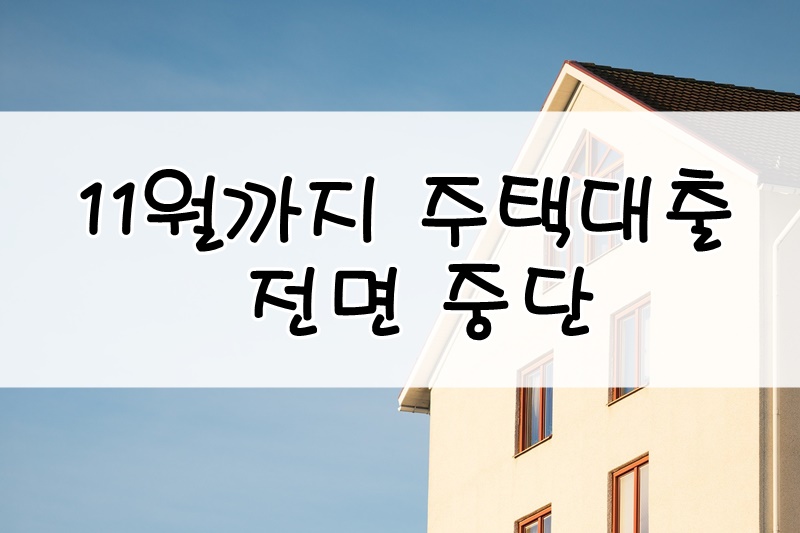  부동산 대출 일시 중단 NH농협 우리은행 담보대출 규제 확산