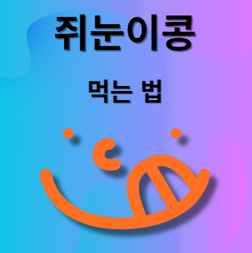 쥐눈이콩 먹는 방법