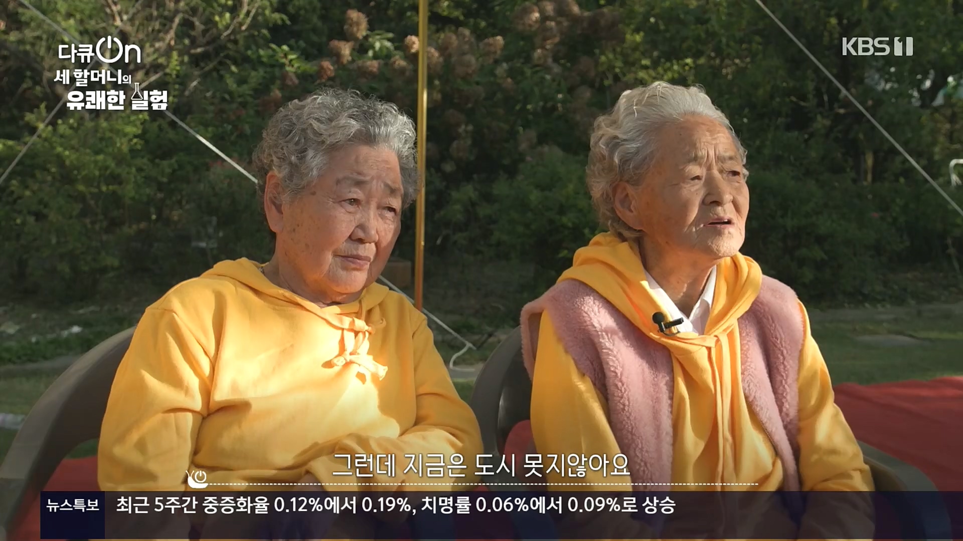 다큐 On.E166.221028p.H264-F1RST.mp4_20221031_194408.243.jpg