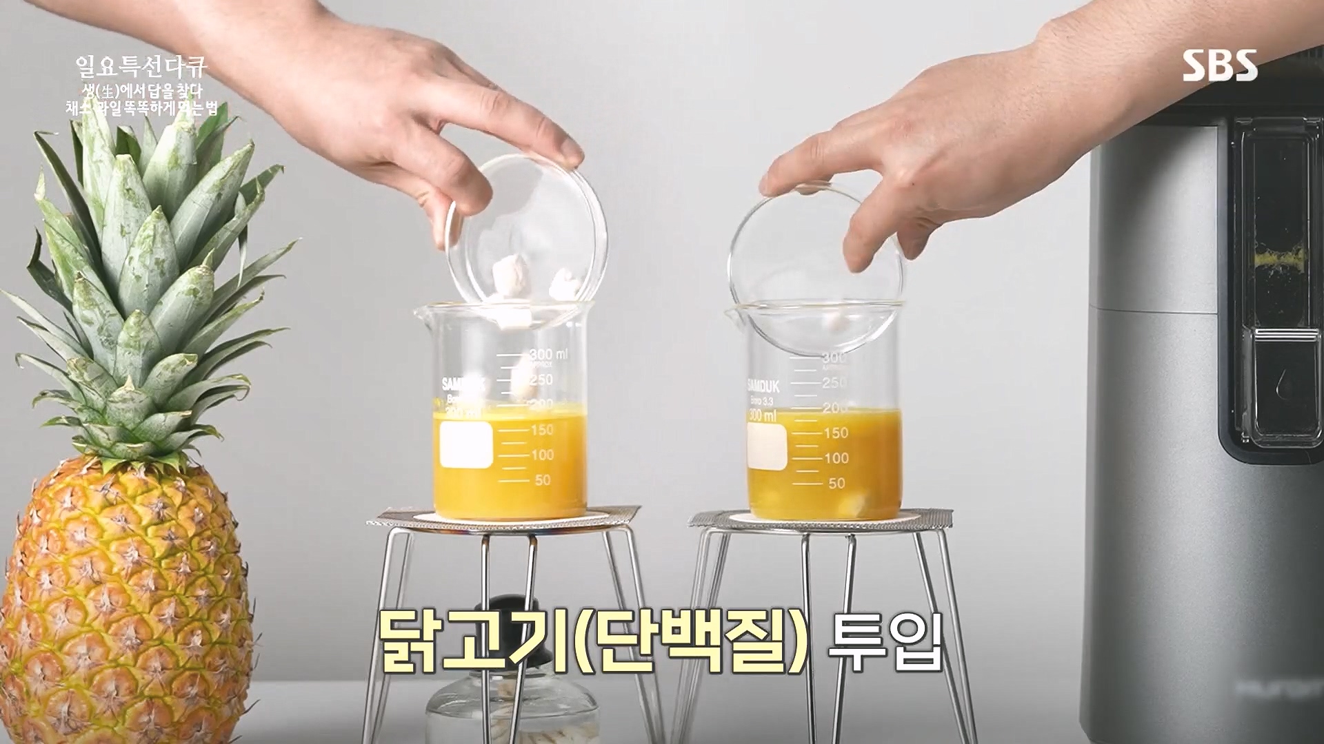 일요 특선 다큐멘터리.E335.240107p.H264-F1RST.mp4_20240108_204254.559.jpg