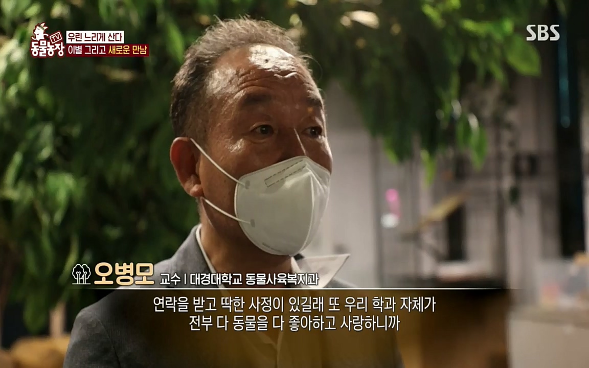 TV 동물농장.E1076.220704p.H264-F1RST.mp4_20220703_175613.137.jpg