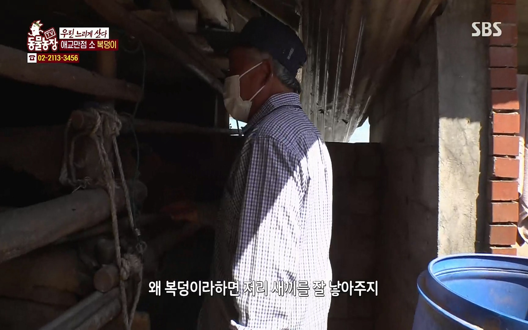 TV 동물농장.E1067.220501p.H264-F1RST.mp4_20220501_183523.295.jpg