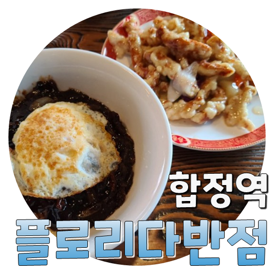  탕수육 맛집, 합정 중국집 플로리다 반점