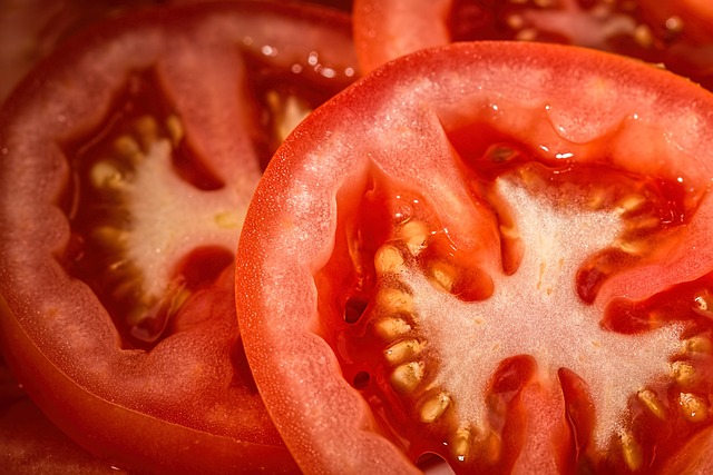 토마토 단면