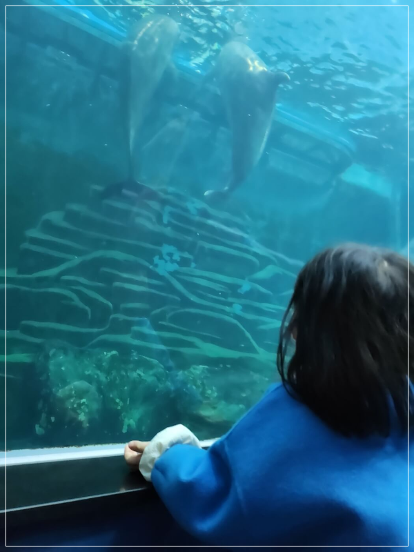 울산 가족여행 아이 놀거리와 고래 탐방 후기 (장생포)