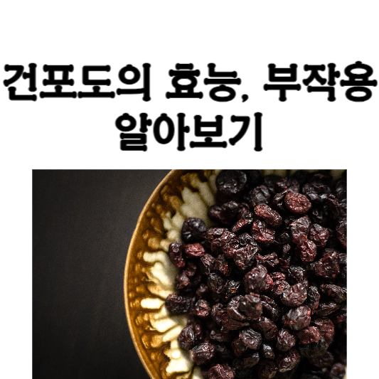 건포도의 효능과 부작용