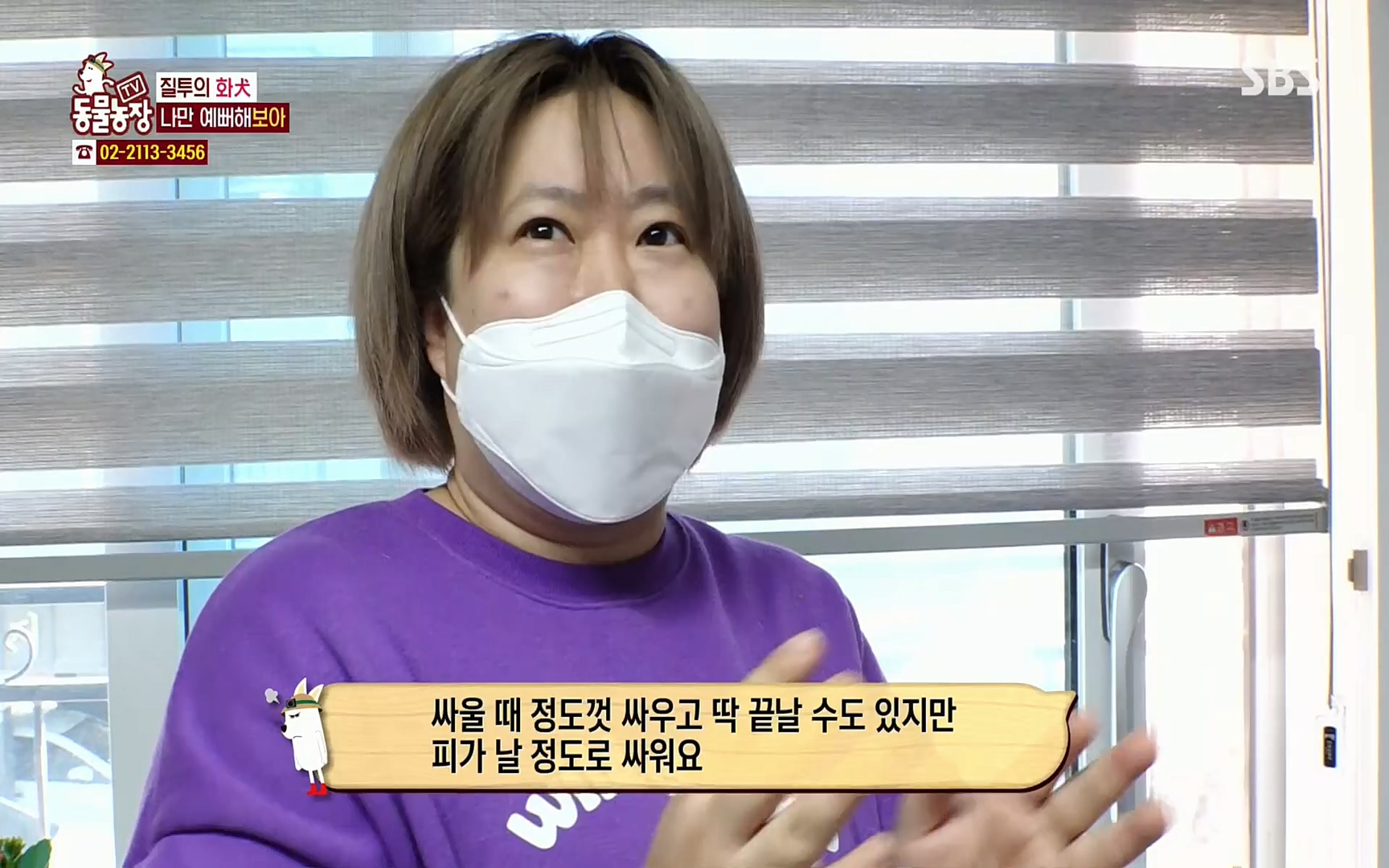 TV 동물농장.E1061.220320p.H264-F1RST.mp4_20220320_183553.620.jpg