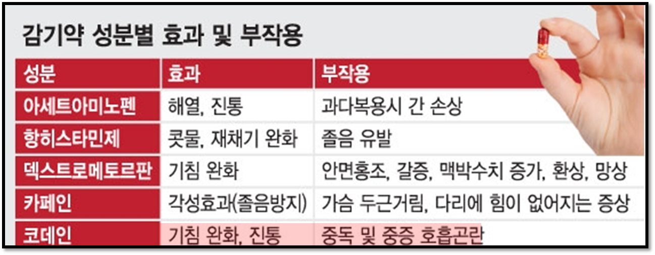 감기약 성분