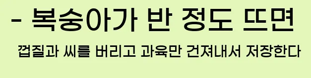  - 복숭아가 반 정도 뜨면 껍질과 씨를 버리고 과육만 건져내서 저장한다