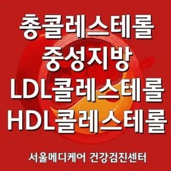 총콜레스테롤 이란 정상수치 낮추는법_17