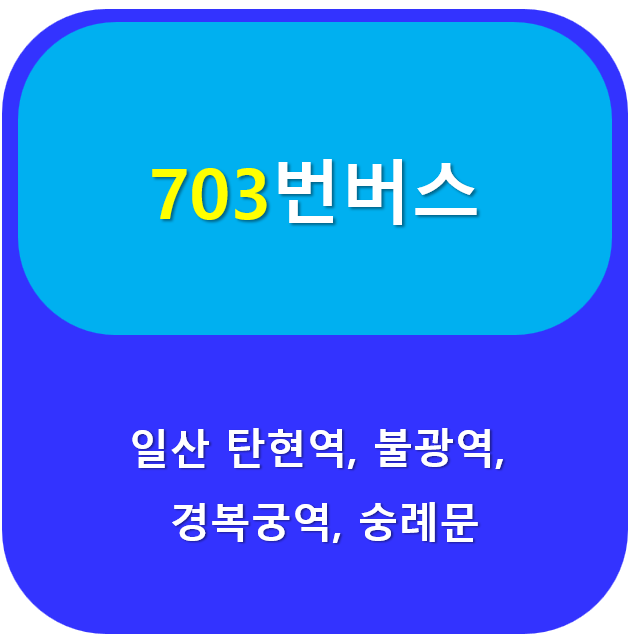 703번버스