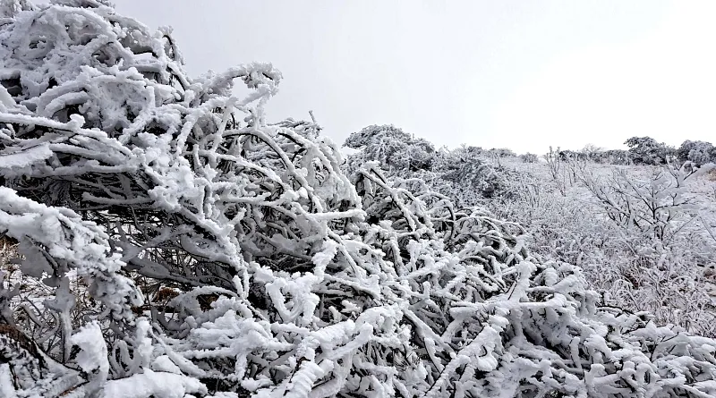 소백산 설경