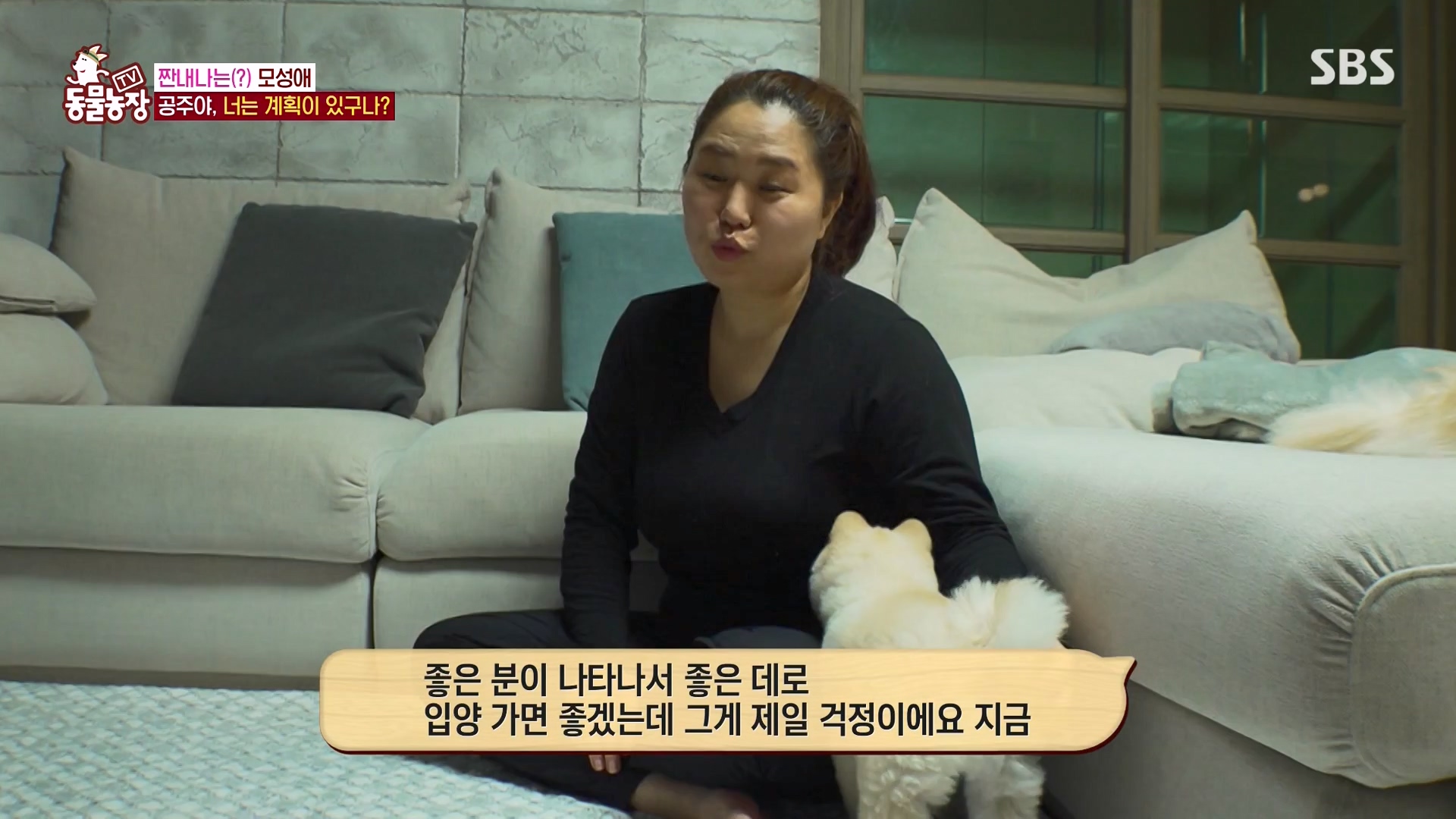 TV 동물농장.E1163.240317p-NEXT.mp4_20240317_171053.462.jpg