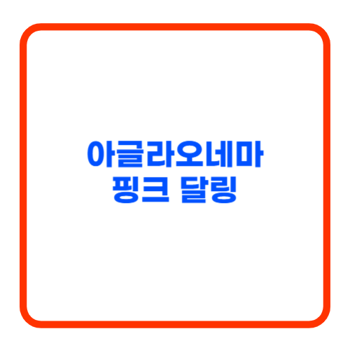 아글라오네마 핑크 달링