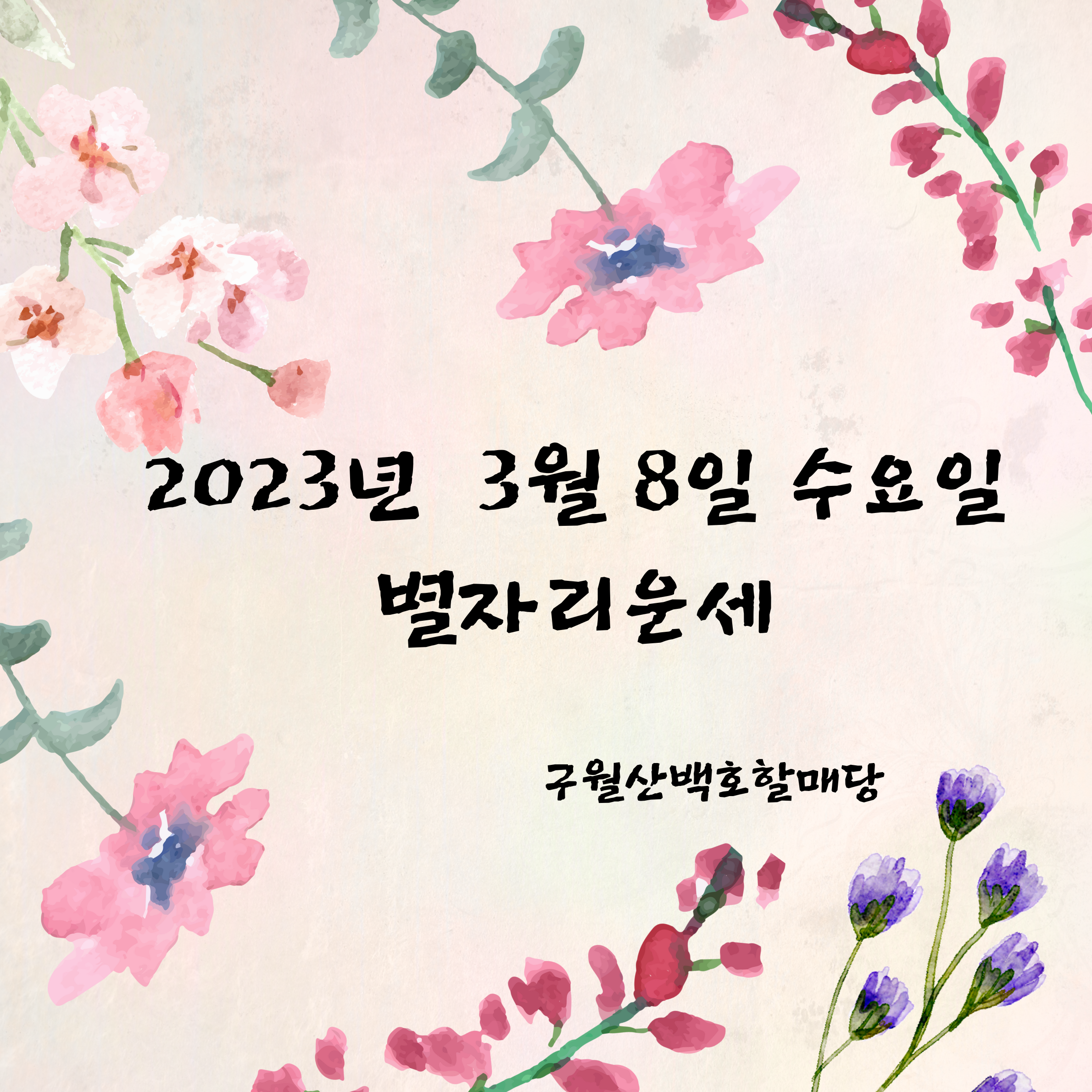 2023년 3월 8일 수요일 오늘의 1