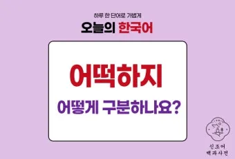 어떻게 어떡해 맞춤법 맞는 표현_19