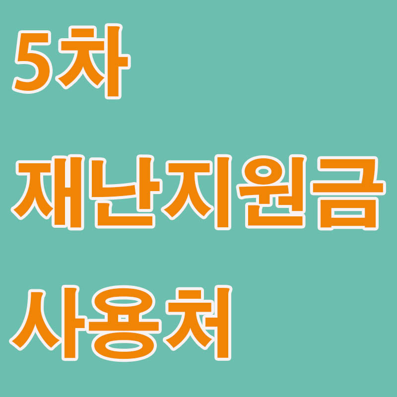 5차-재난지원금