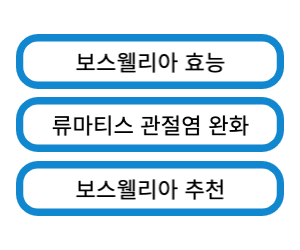 보스웰리아 효능 및 추천 고르는 법 링크