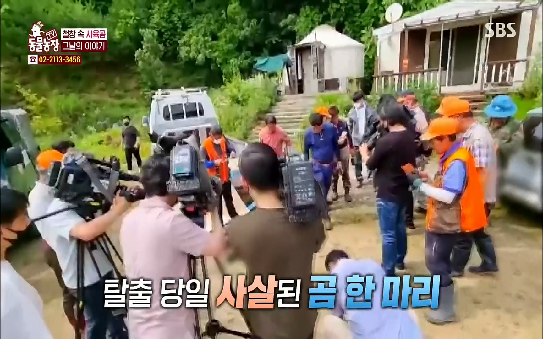 TV 동물농장.E1063.220403p.H264-F1RST.mp4_20220403_175120.869.jpg
